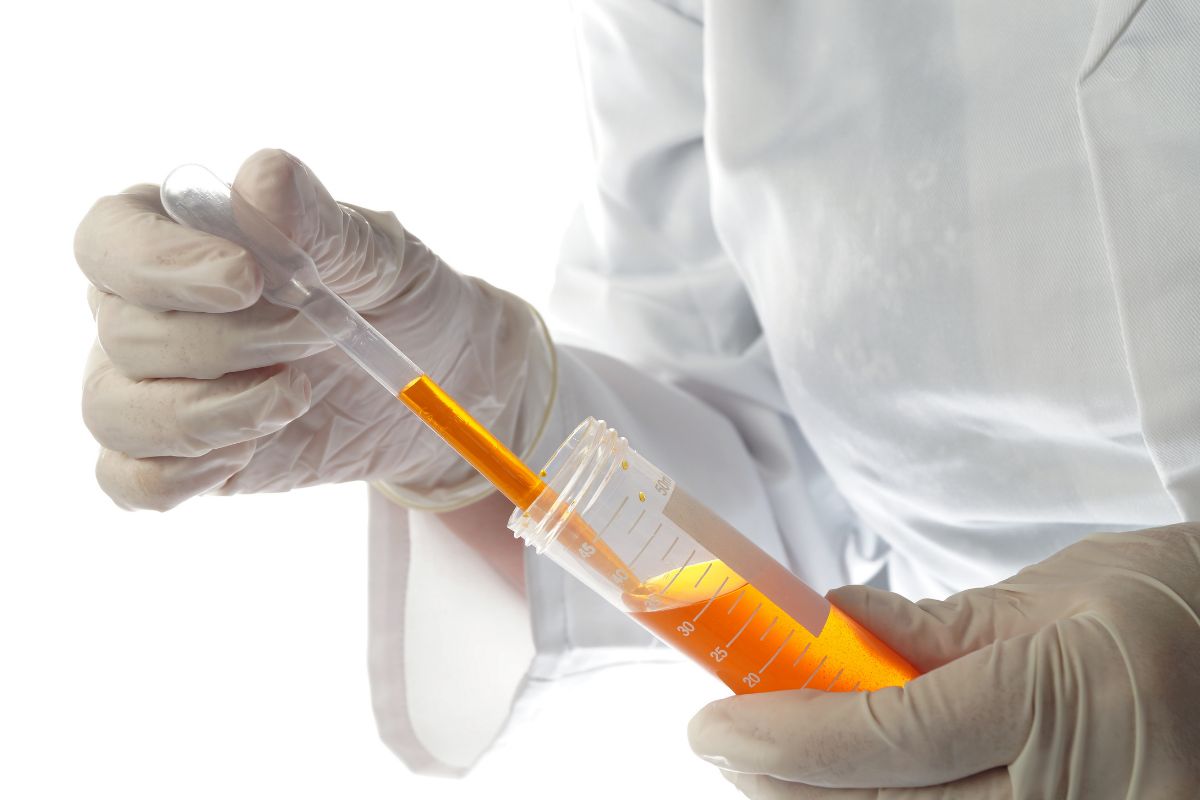   24 Hrs Urine - Creatinine