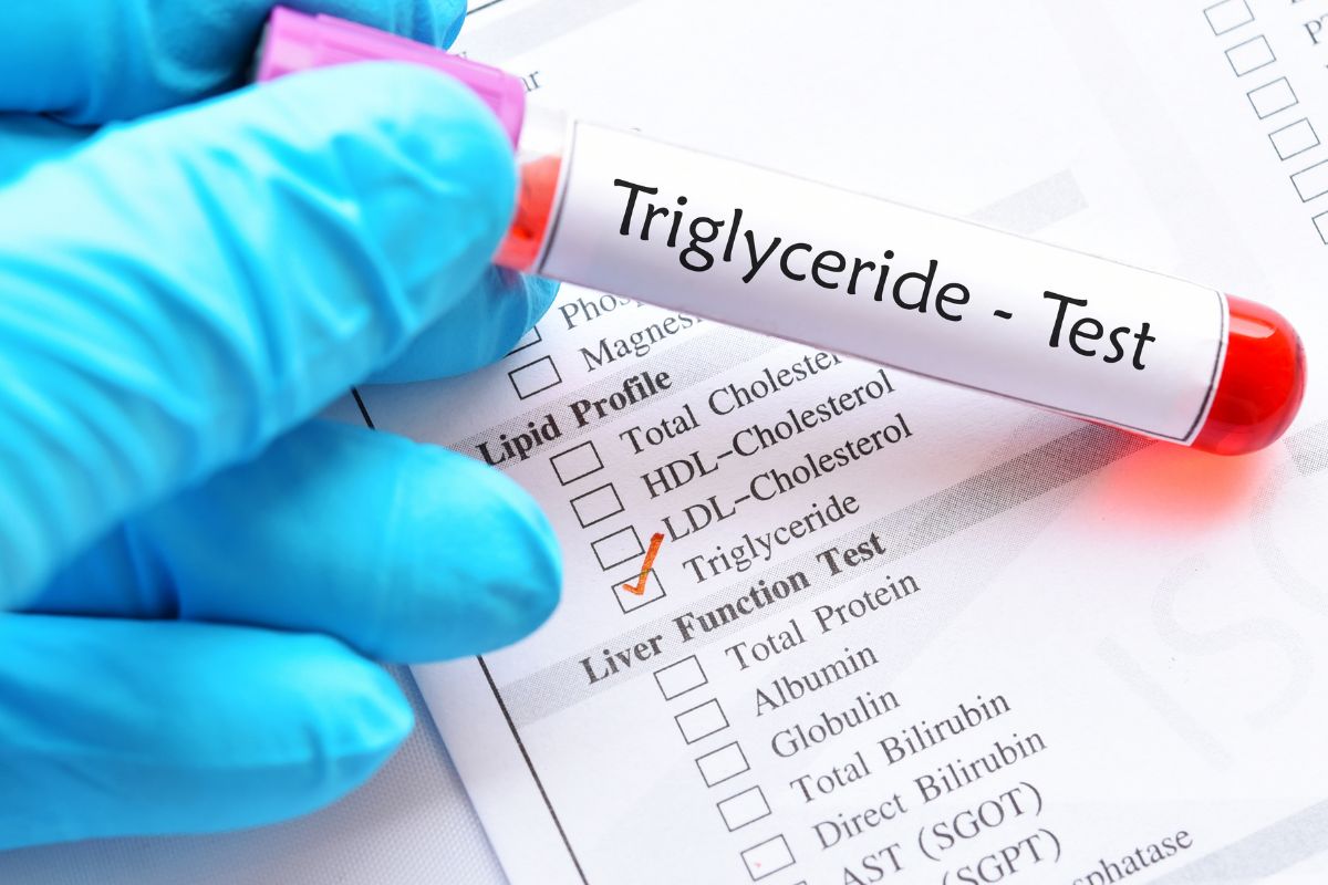   Triglycerides