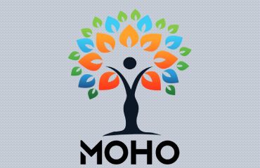 Is MOHO a Lab?