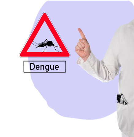 DENGUE PROFILE