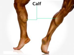 CALF