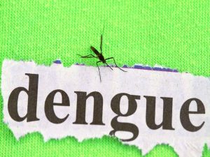 Dengue fever