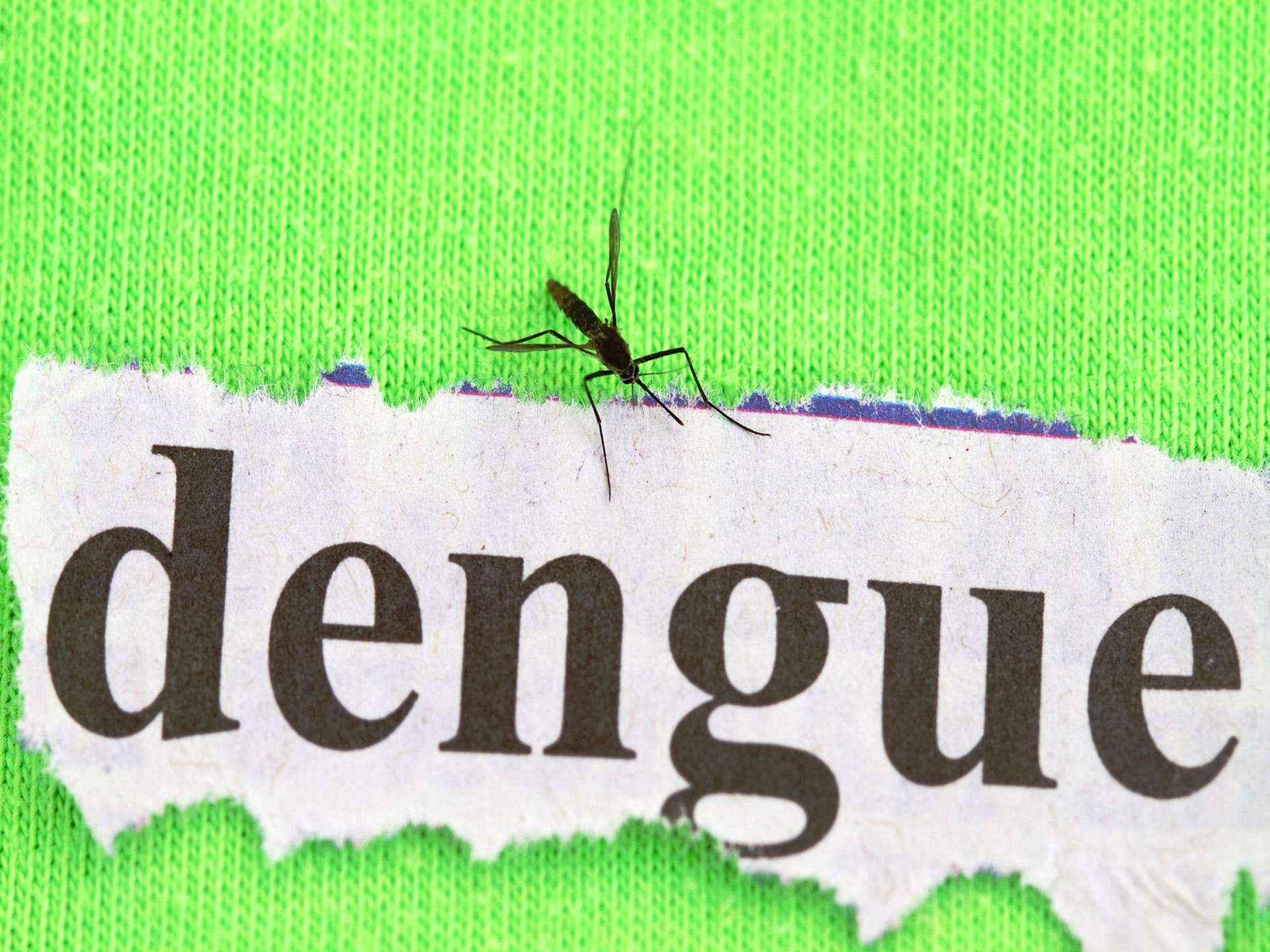 Dengue fever