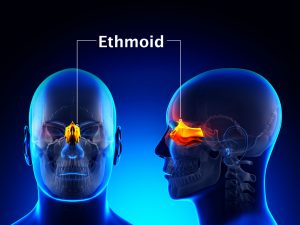 ETHMOID BONE