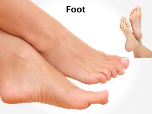 FOOT