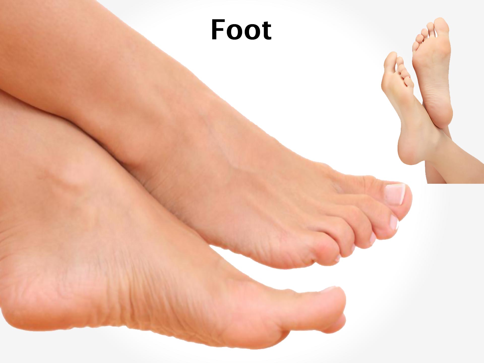 FOOT