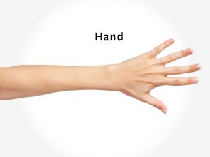 HAND