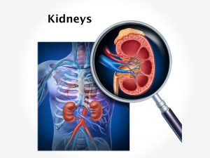 KIDNEY