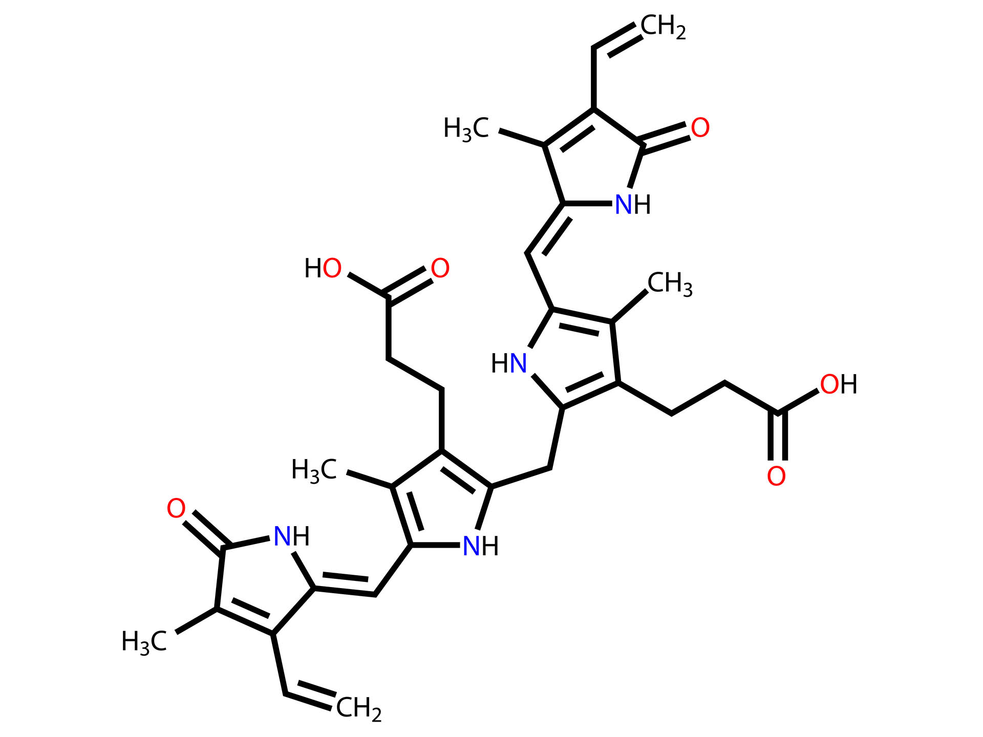 Porphyria