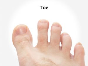 TOE