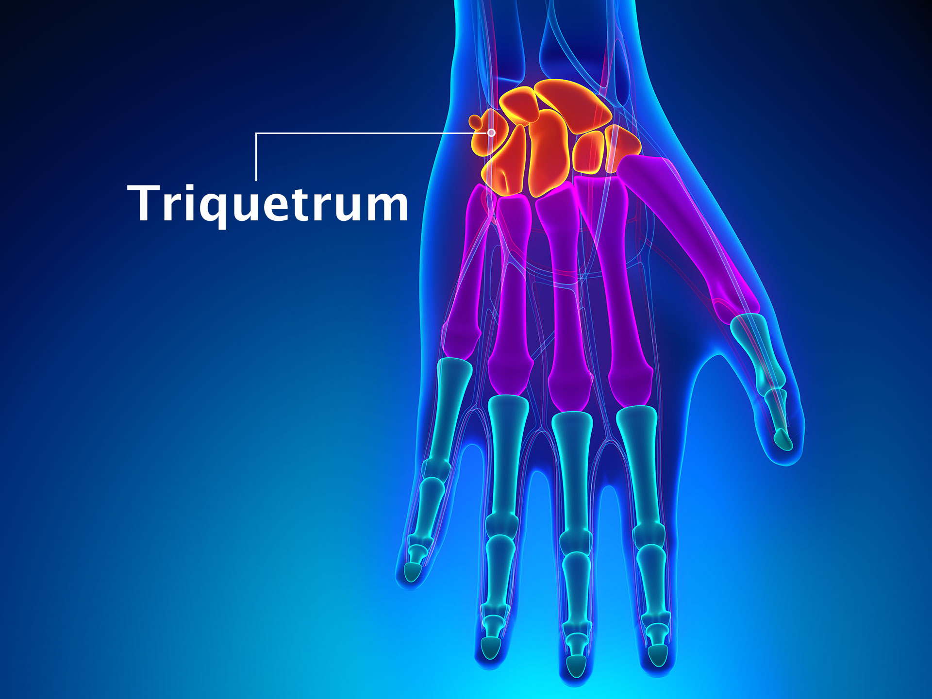 TRIQUETRUM