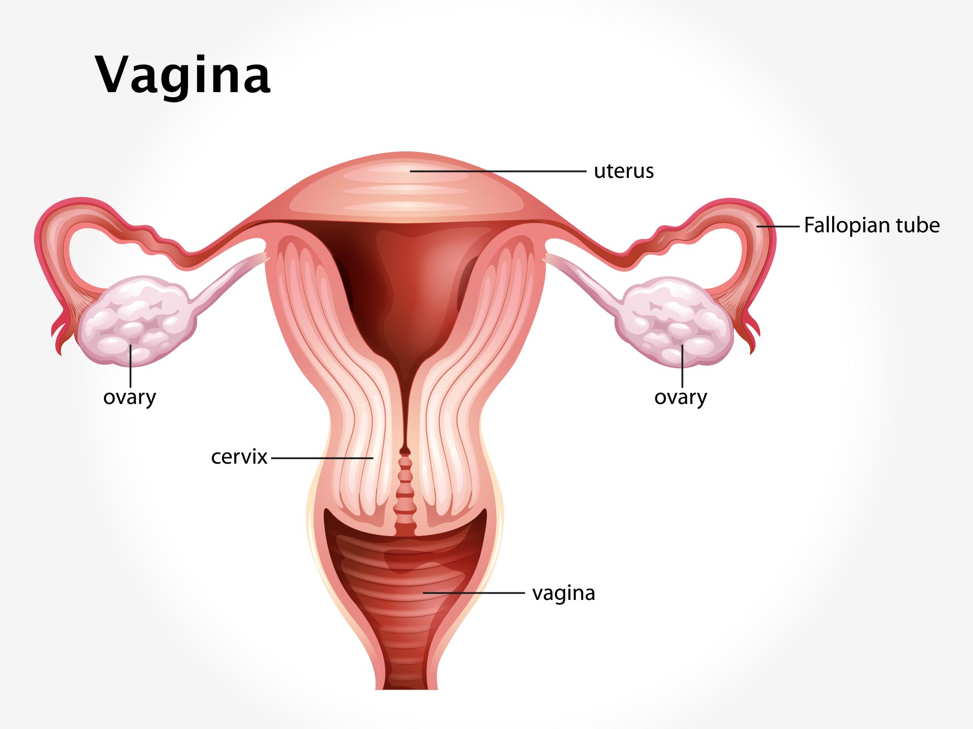 VAGINA