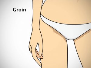 GROIN