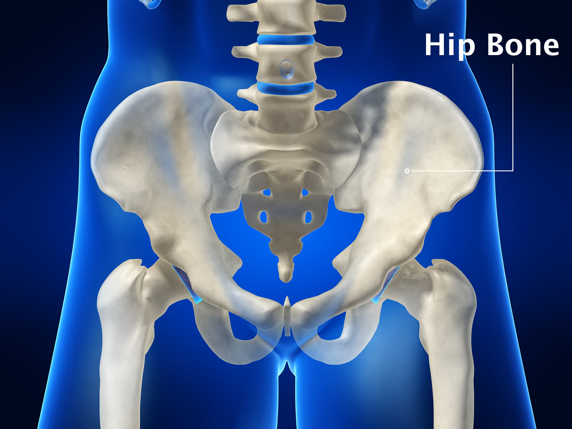 HIP BONE