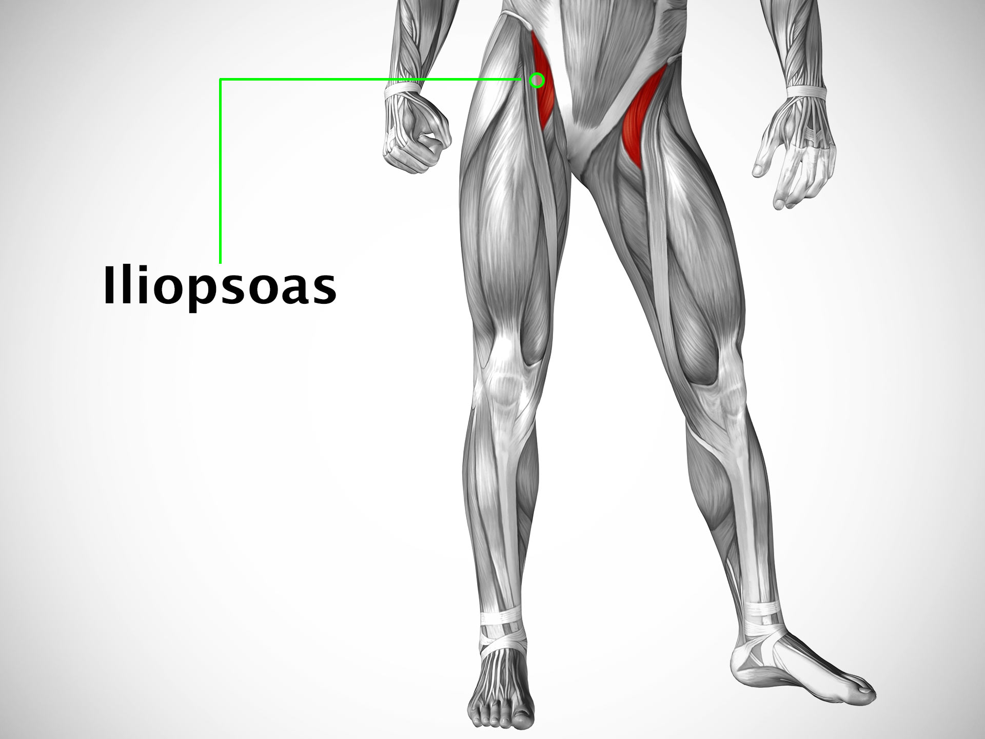 ILIOPSOAS