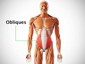 OBLIQUES