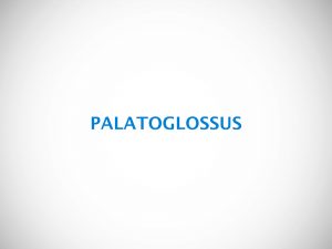 PALATOGLOSSUS