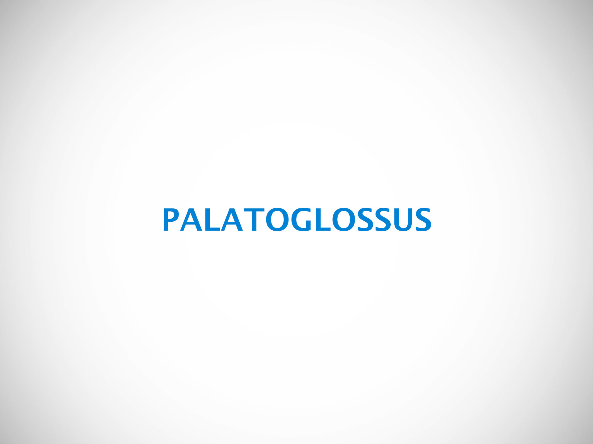 PALATOGLOSSUS