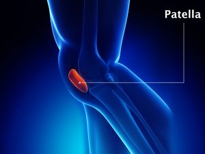 PATELLA