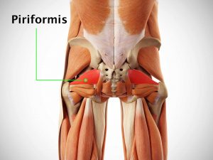 PIRIFORMIS