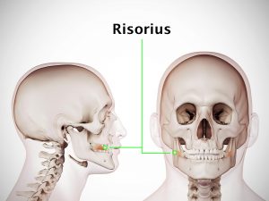 RISORIUS