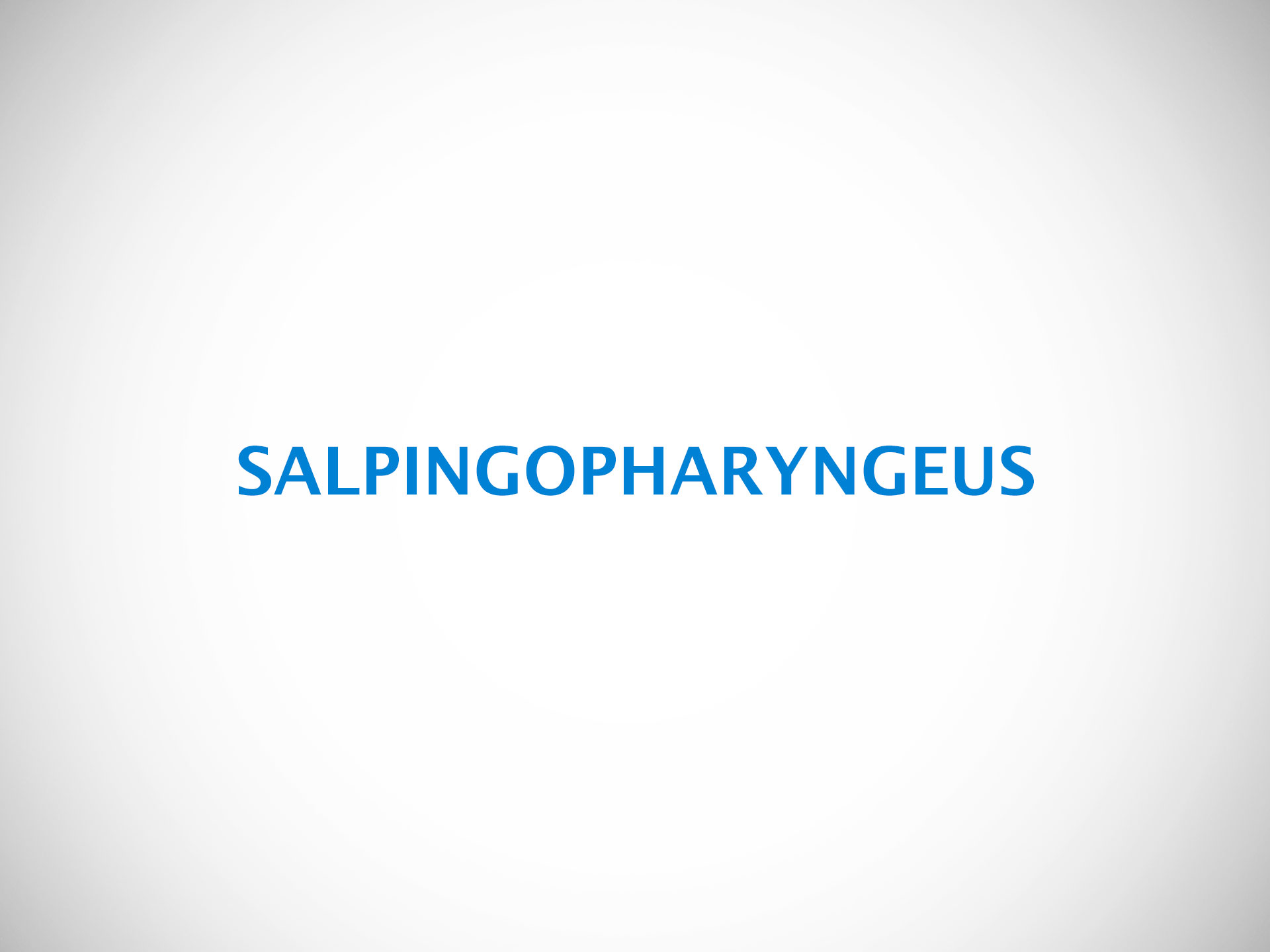 SALPINGOPHARYNGEUS