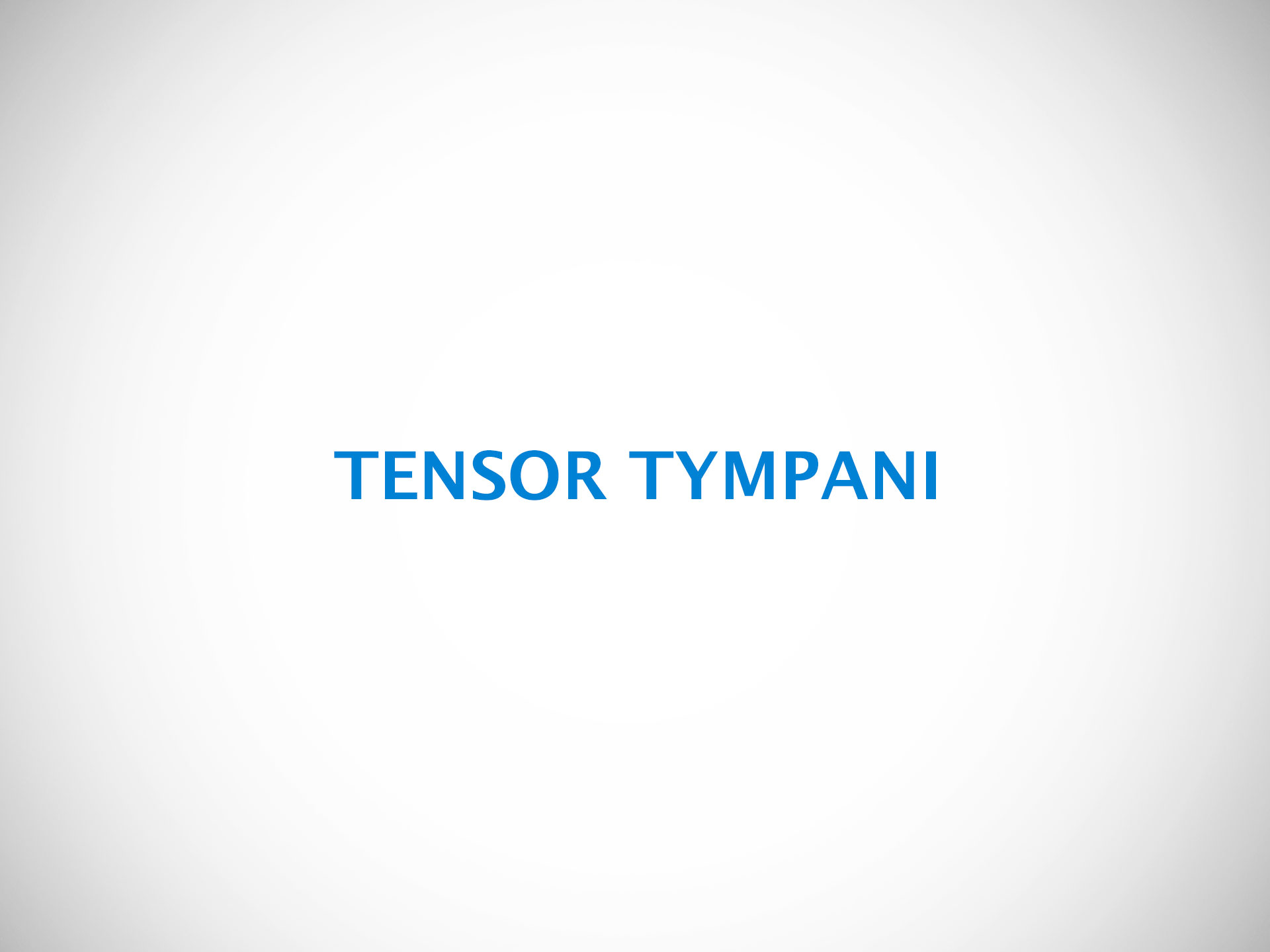 TENSOR TYMPANI