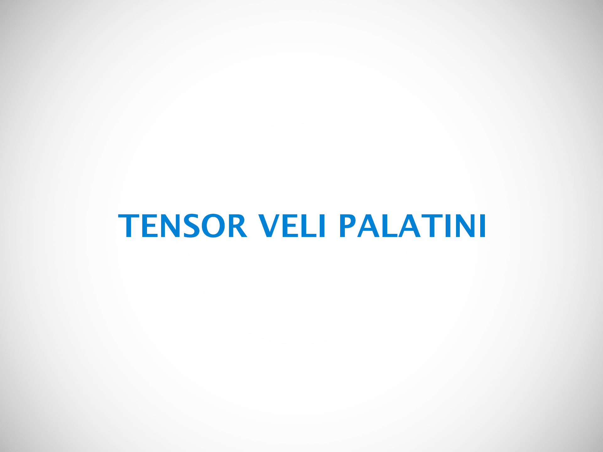 TENSOR VELI PALATINI