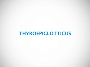 THYROEPIGLOTTICUS