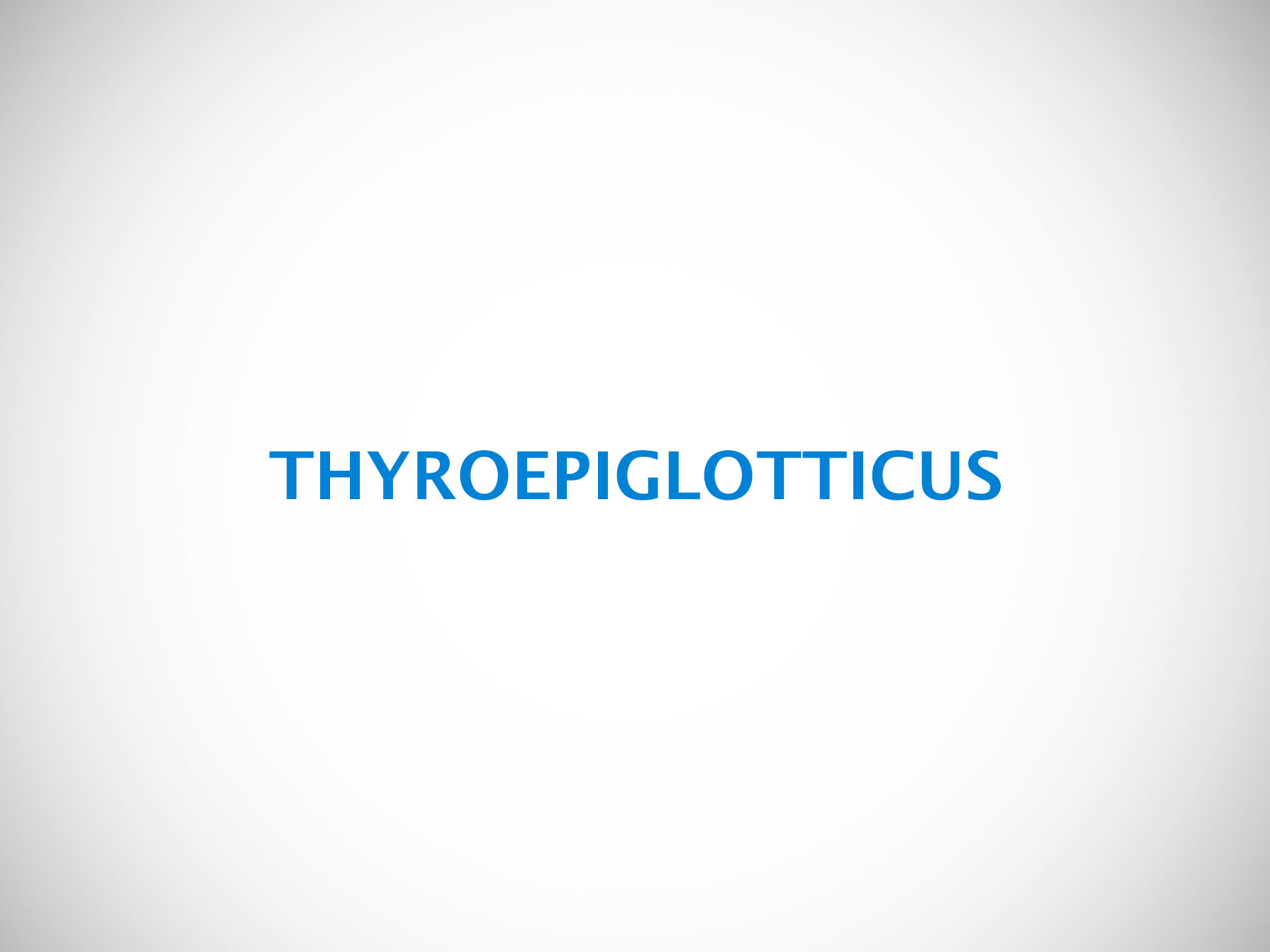 THYROEPIGLOTTICUS