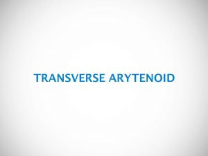 TRANSVERSE ARYTENOID