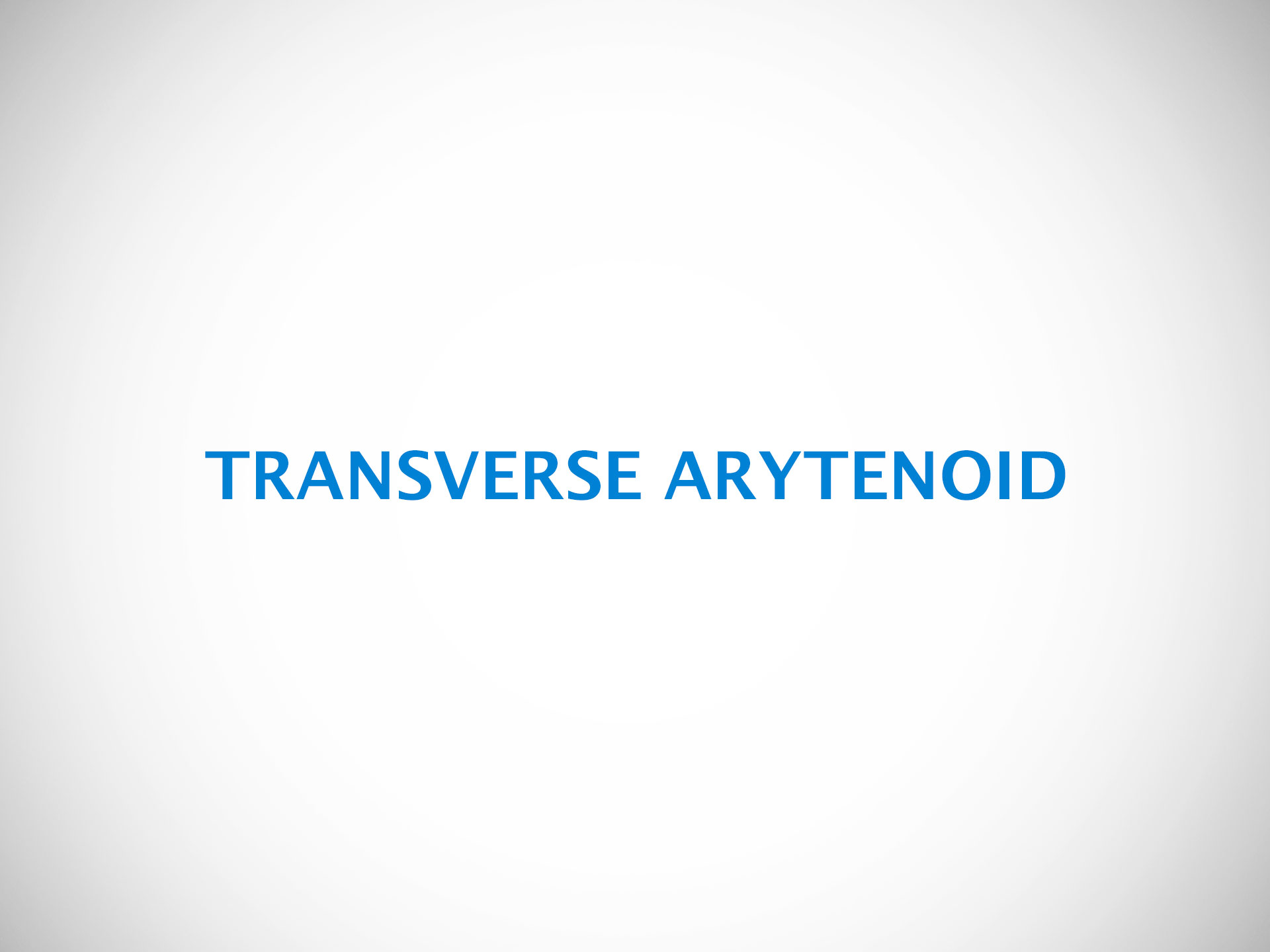 TRANSVERSE ARYTENOID