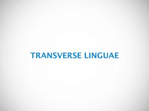 TRANSVERSE LINGUAE