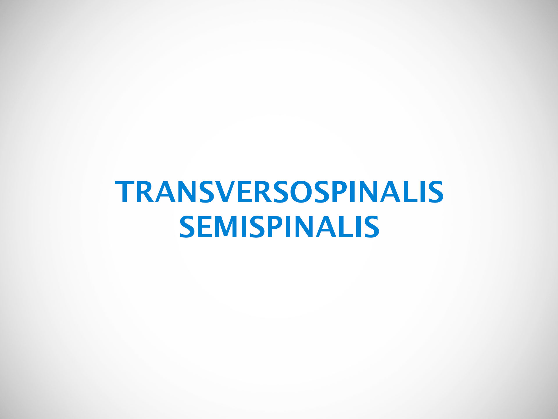 TRANSVERSOSPINALIS SEMISPINALIS