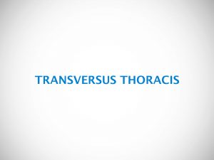 TRANSVERSUS THORACIS