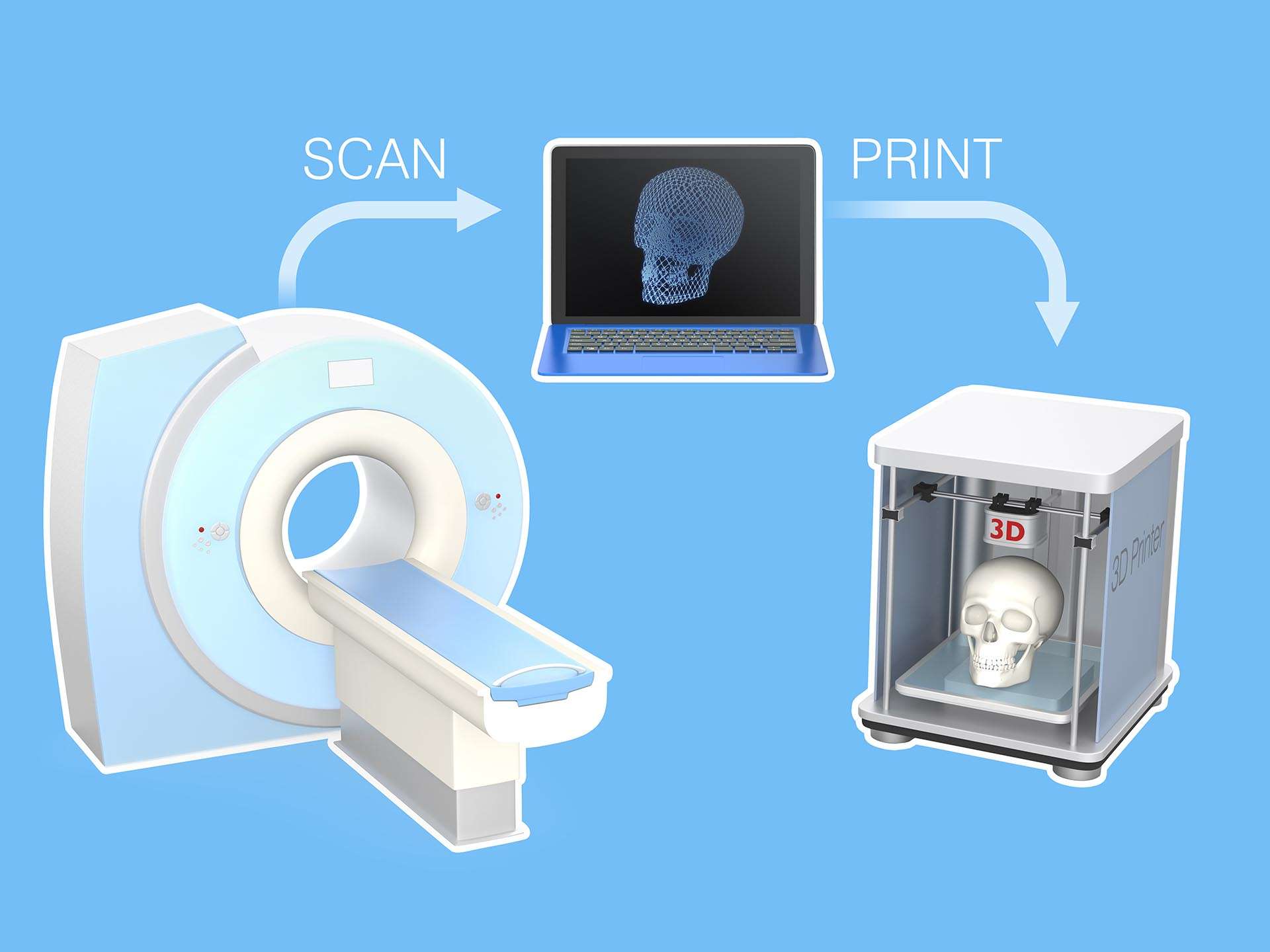 3D bioprinting – The future of bio-engineering