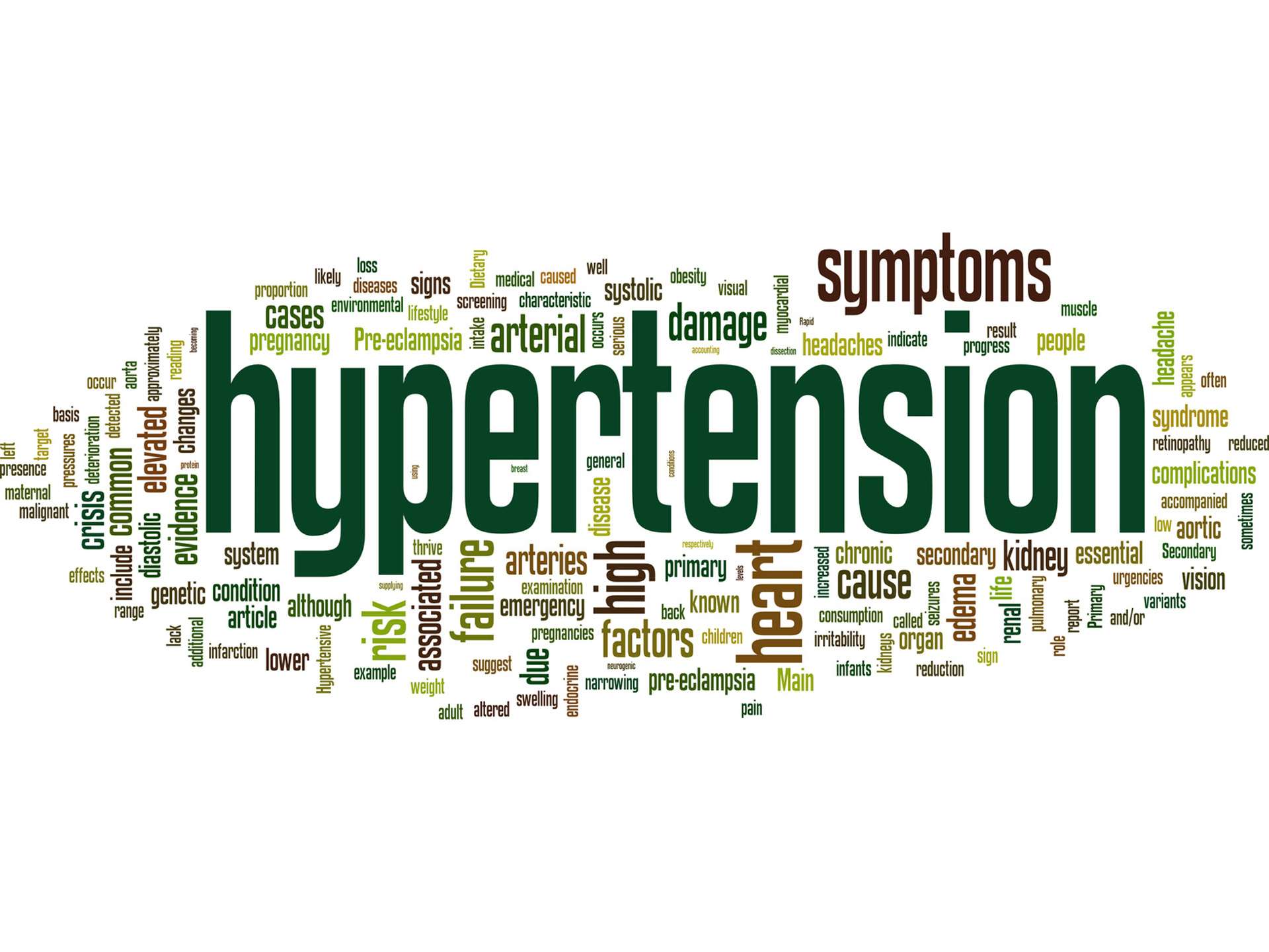 A quick guide to high blood pressure