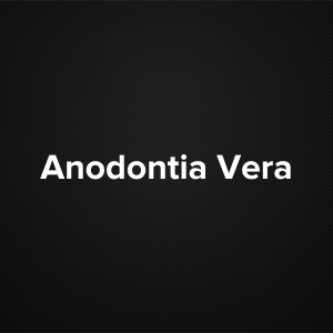 Anodontia Vera