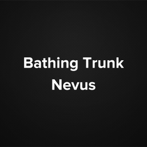 Bathing trunk nevus