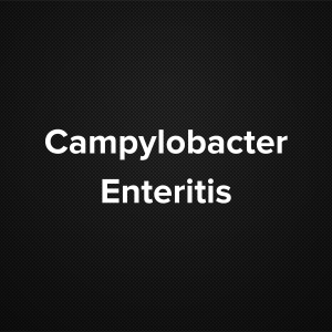 Campylobacter enteritis