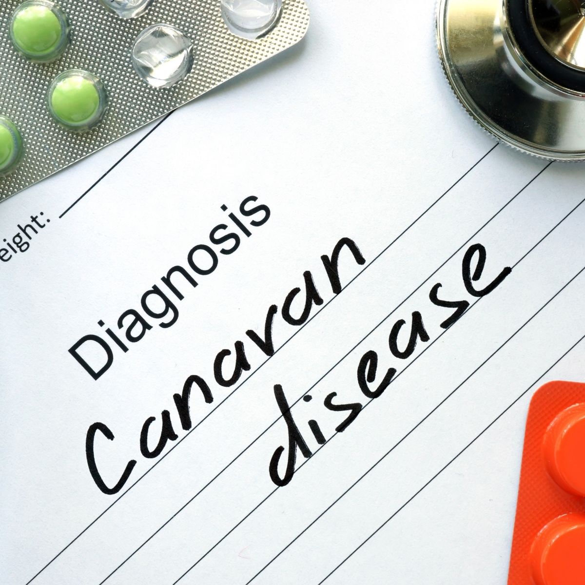 Canavan disease