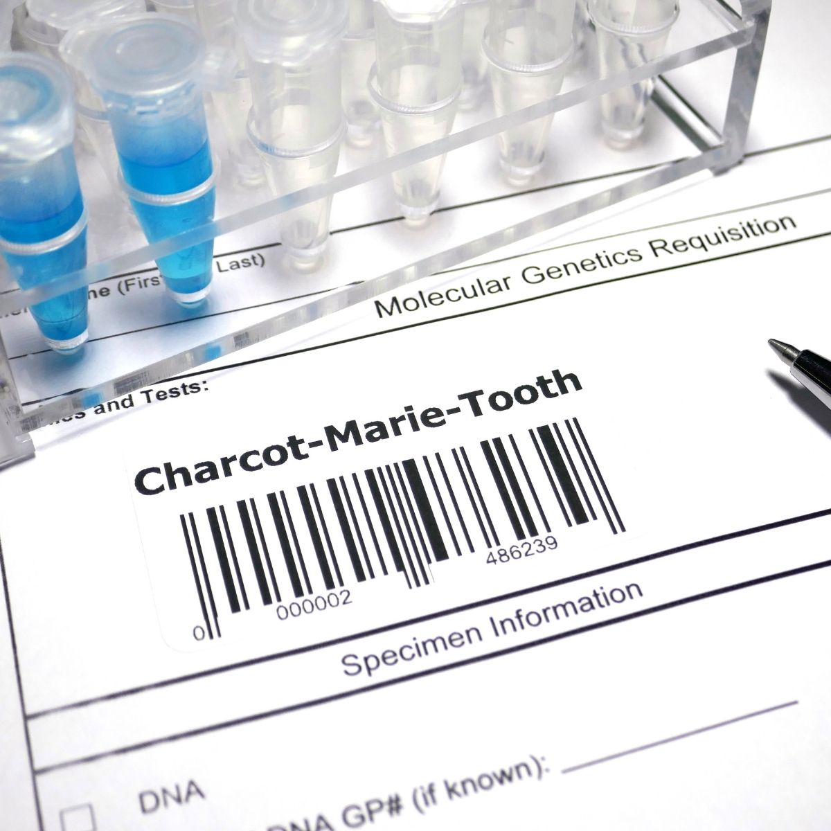 Charcot–Marie–Tooth Disease