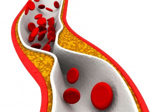 Cholesterol – There is a good side to it too!