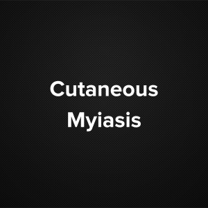 Cutaneous myiasis