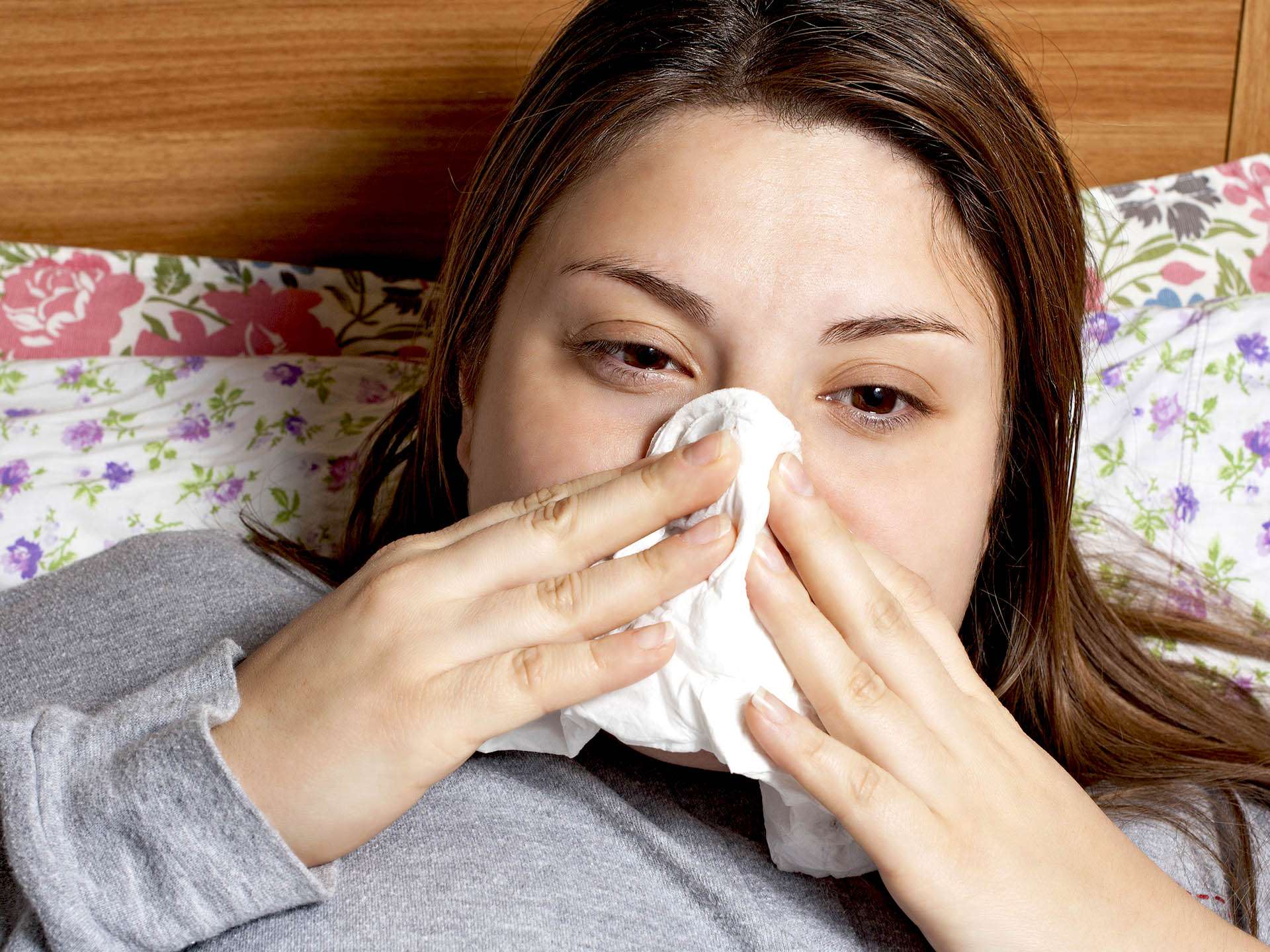 Down with a cold? It could be swine flu!