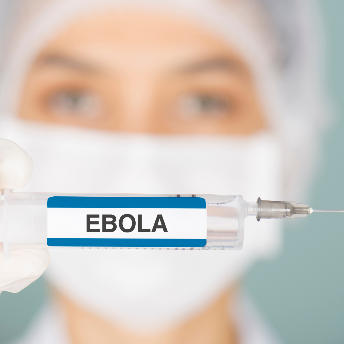 Ebola and Marburg virus