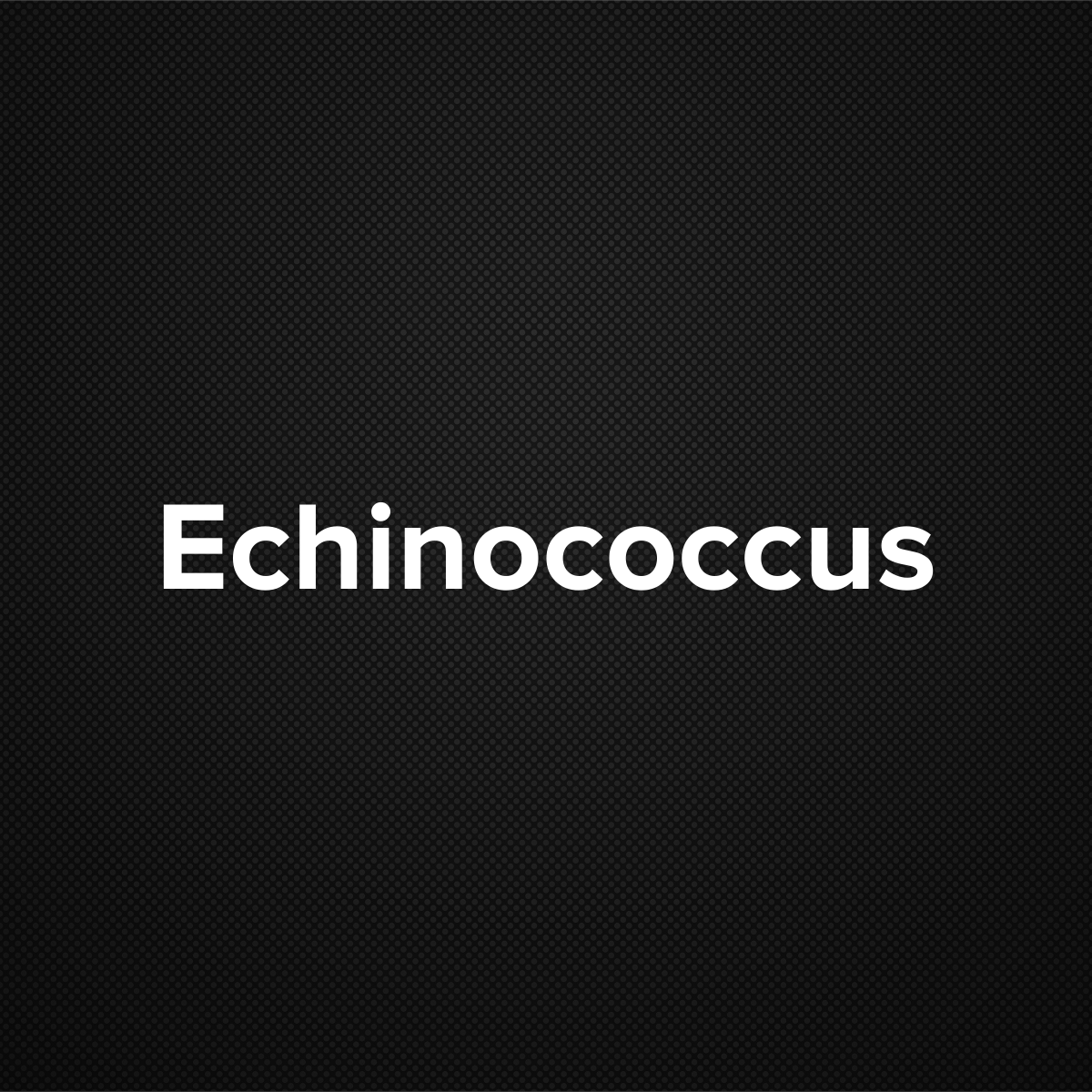 Echinococcus