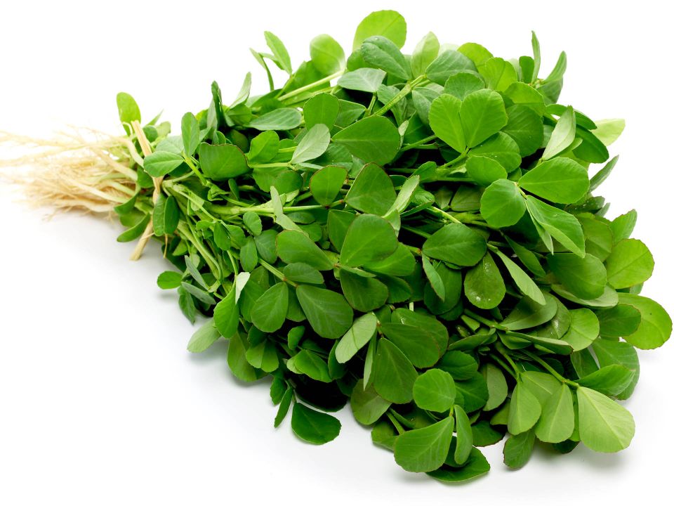 Fantastic fenugreek!!