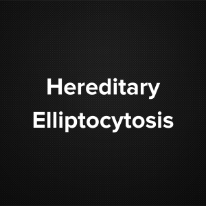 Hereditary Elliptocytosis