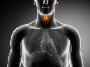 Hypoparathyroidism – A para on low secretion of parathyroid